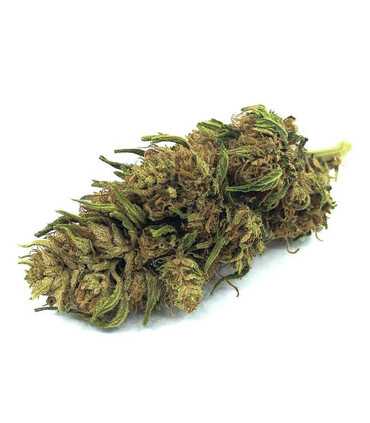 Fleur de CBG 14% de CBG