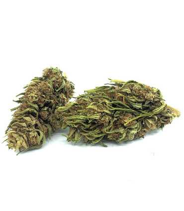 Fleur de CBG 14% de CBG
