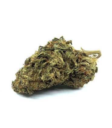 Fleur de Cbd OG Kush Indoor