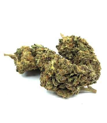 Fleur de Cbd OG Kush Indoor