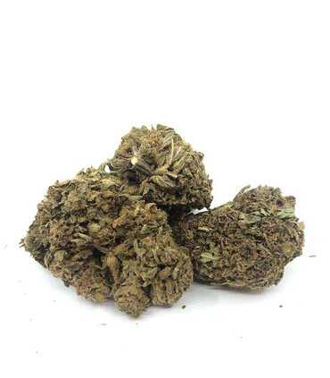 MIAMI KUSH Fleur de CBD