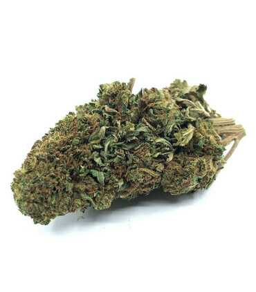 AMNESIA HAZE Fleur de CBD