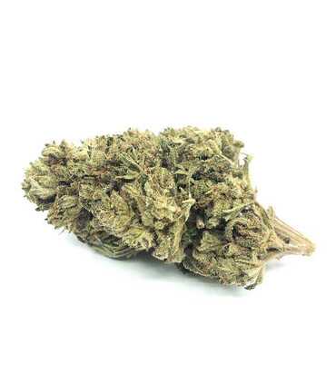 Fleurs CBD Lemon Haze | Brume de Citron
