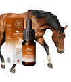 Huile de CBD Pets 30% Alpaisia pour Cheval - Foin Carotte