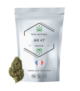 AK 47 Indoor