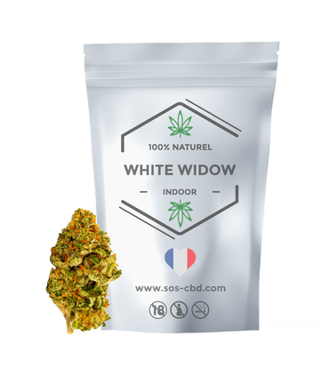 Fleurs CBD White Widow | Indoor