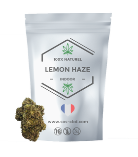 Fleurs CBD Lemon Haze | Brume de Citron