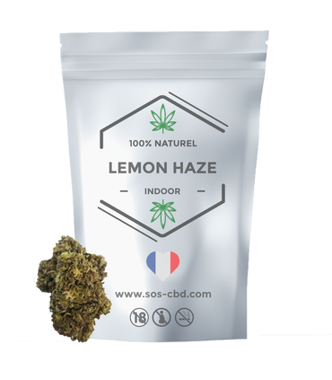 Fleurs CBD Lemon Haze | Brume de Citron