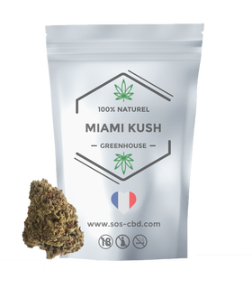 MIAMI KUSH Fleur de CBD