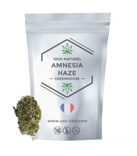 AMNESIA HAZE Fleur de CBD