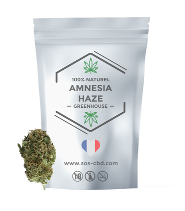 AMNESIA HAZE Fleur de CBD
