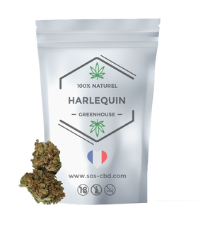 Harlequin Green House