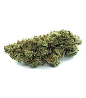 Fleur de CBD Blueberry Greenhouse