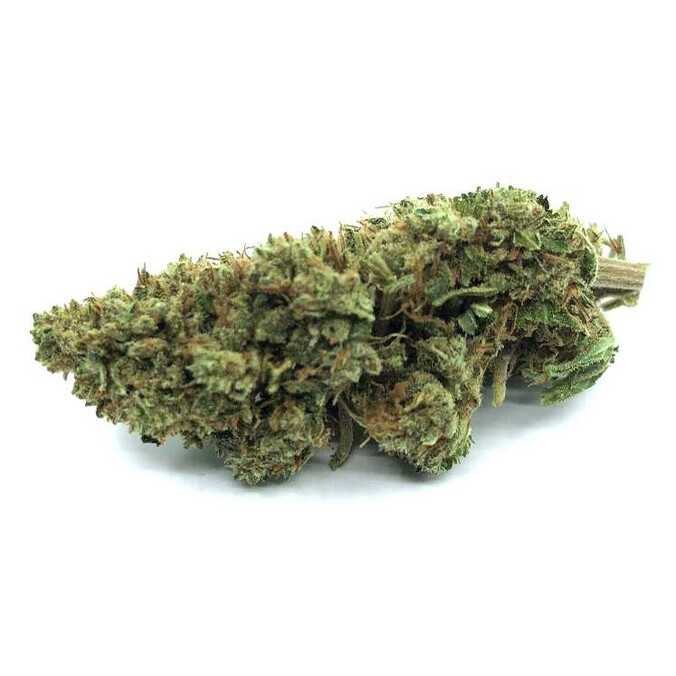 Fleur de CBD Blueberry Greenhouse