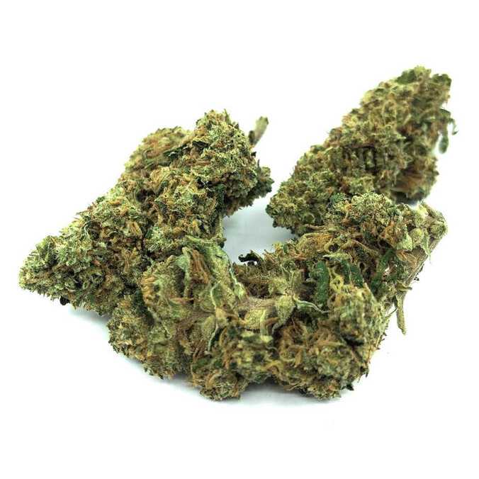 Fleur de CBD Blueberry Greenhouse
