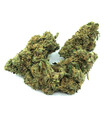 Fleur de CBD Blueberry Greenhouse