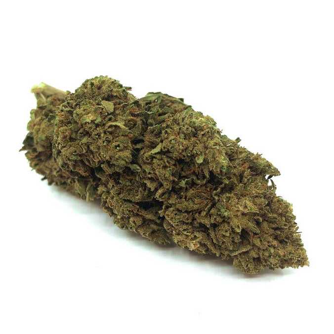 Fleur de CBD Watermelon Indoor