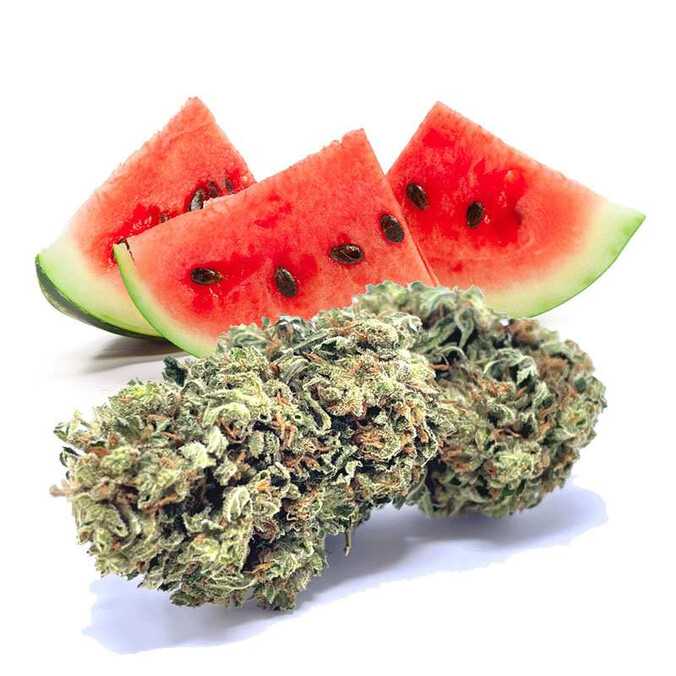 Fleur de CBD Watermelon Indoor