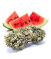 Fleur de CBD Watermelon Indoor