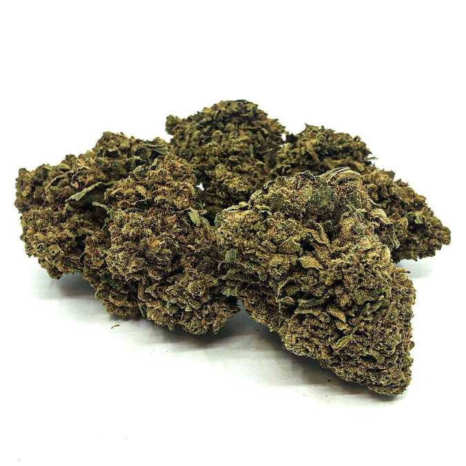 Tonic Kush Green House