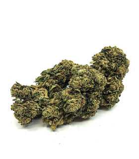 Fleur de CBD Sour Diesel | Greenhouse