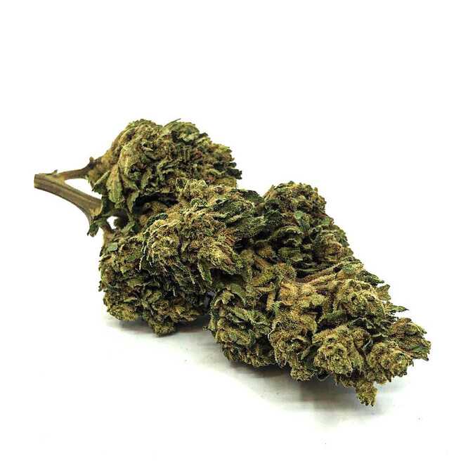 Fleur de CBD Sour Diesel | Greenhouse