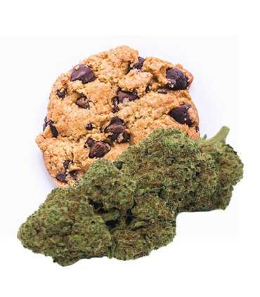 Fleur de CBD New York Cookies Indoor